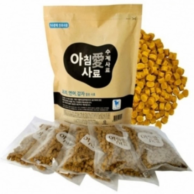 아침애 이미지