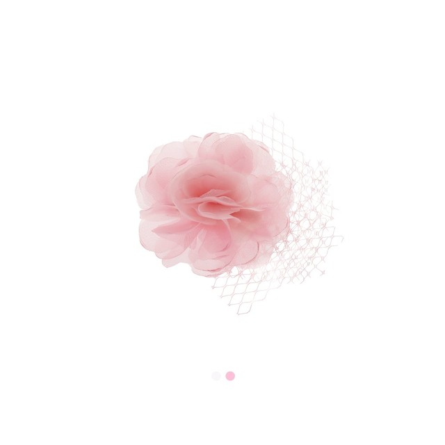 샤헤어 이미지
