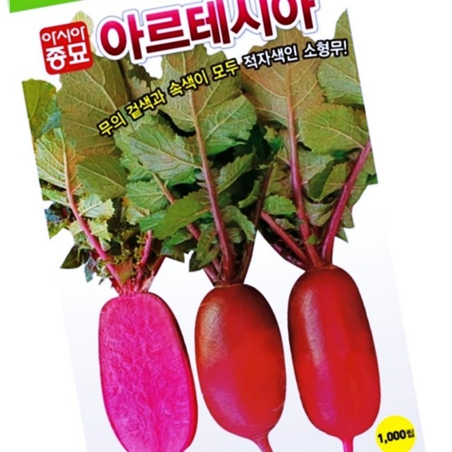 샐러립 이미지