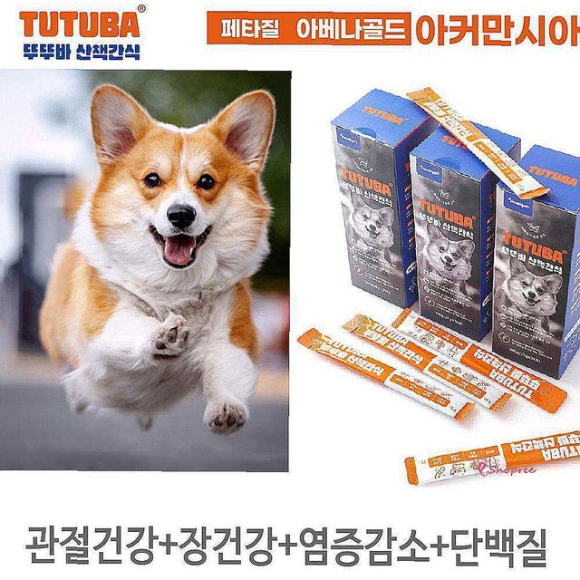노블젠 이미지