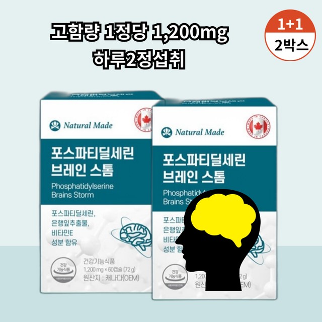 브레인스톰 이미지