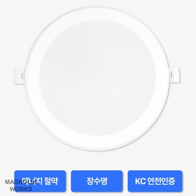 매그놀리아 이미지