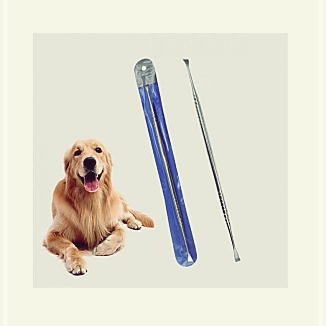 클린냥이 이미지