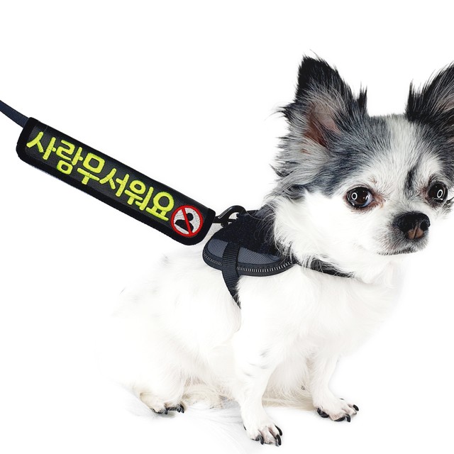따봉 이미지