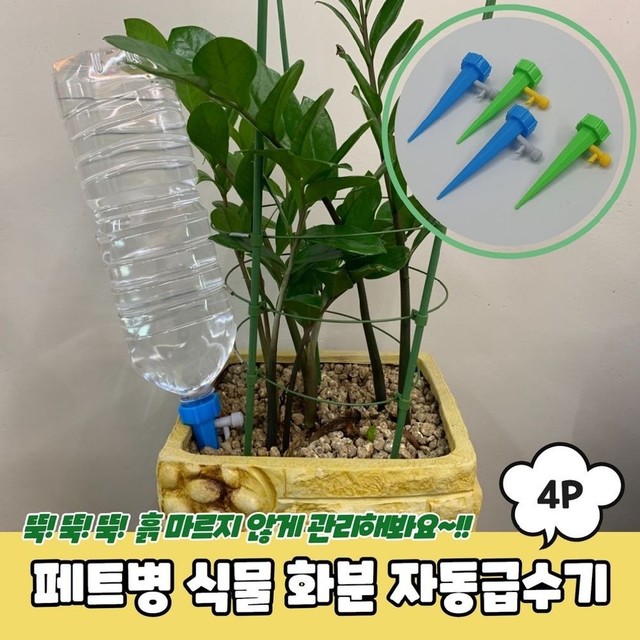 식물A 이미지
