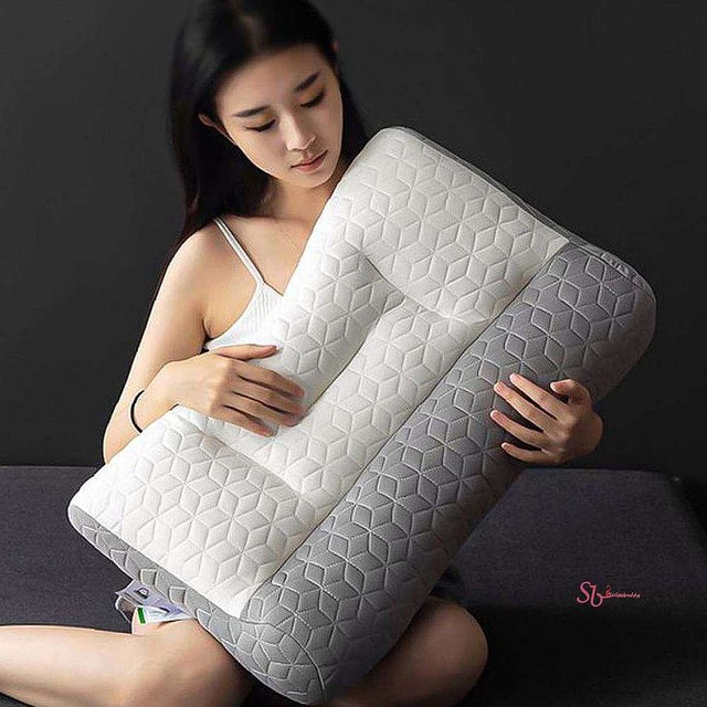 필로텍스 이미지