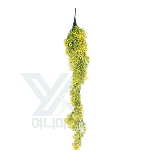 여니스튜디오 이미지