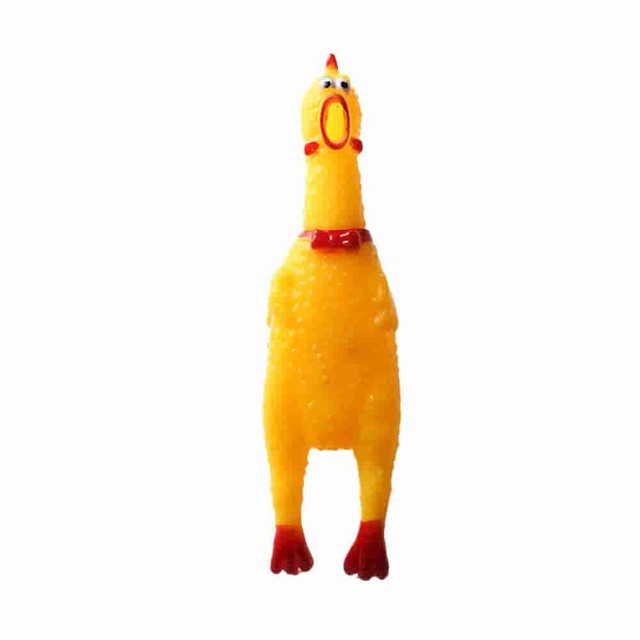 펫스크림 이미지