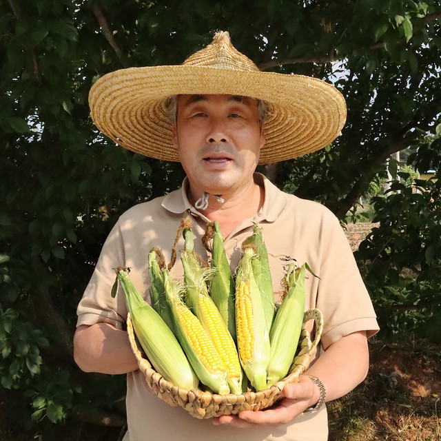 과일꾼 이미지