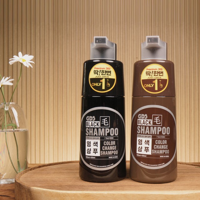 지디에스 이미지