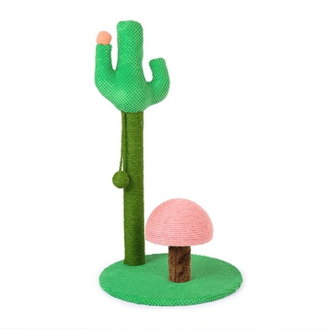 요기쏘 이미지
