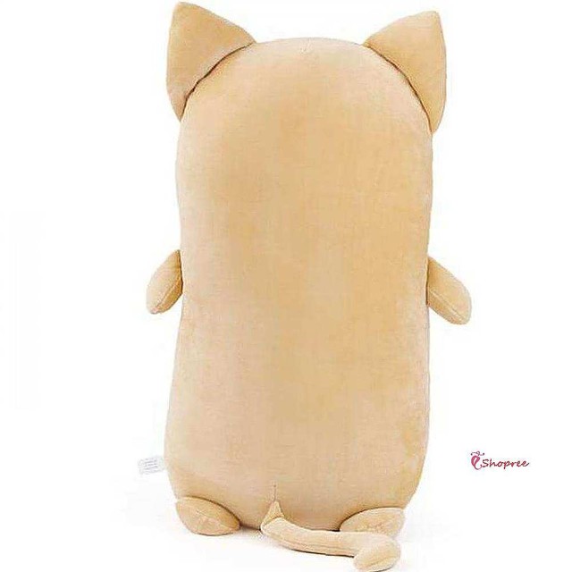몰랑 이미지