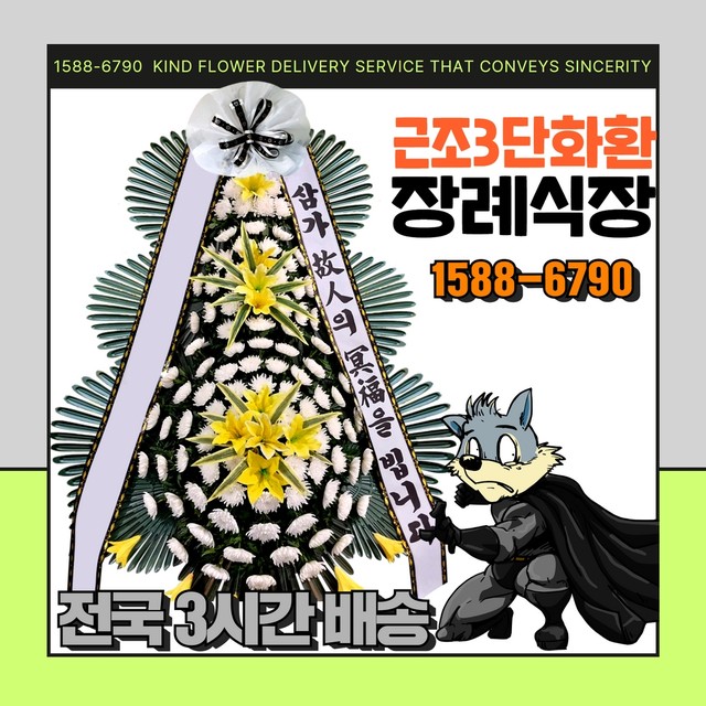 완주꽃배달써비스 이미지