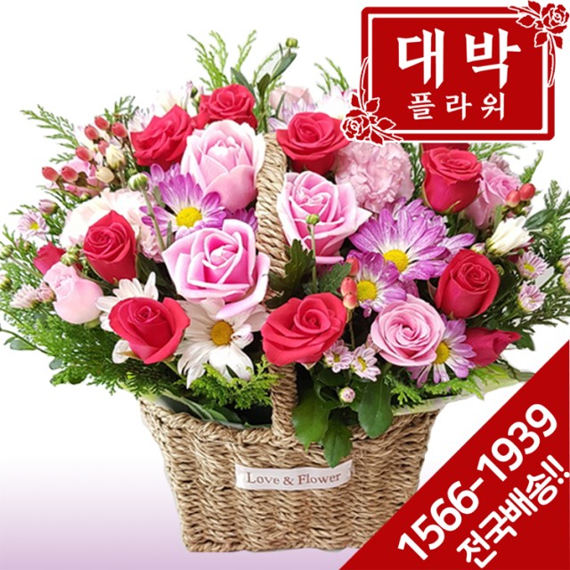 가자꽃배달 이미지
