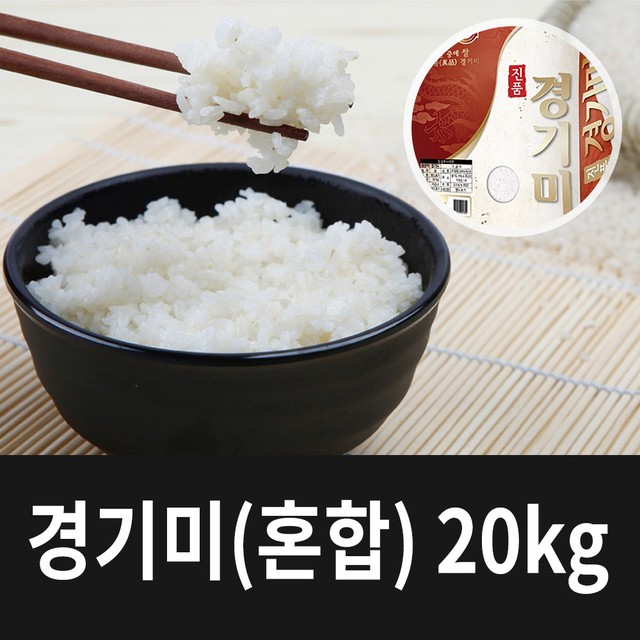 흙애서 이미지