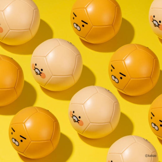 라이언코퍼레이션 이미지
