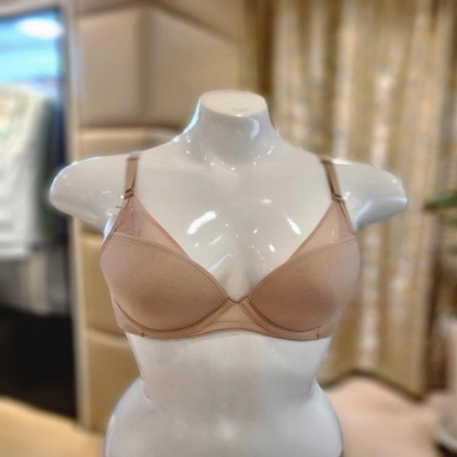 E.F.E 이미지