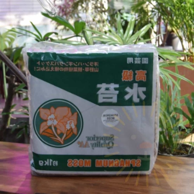 단디 이미지