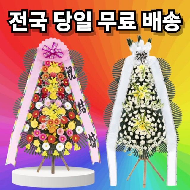 봉화컴퍼니 이미지