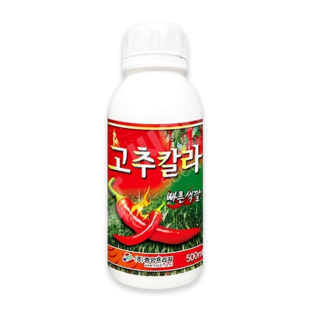 중앙칼라 이미지