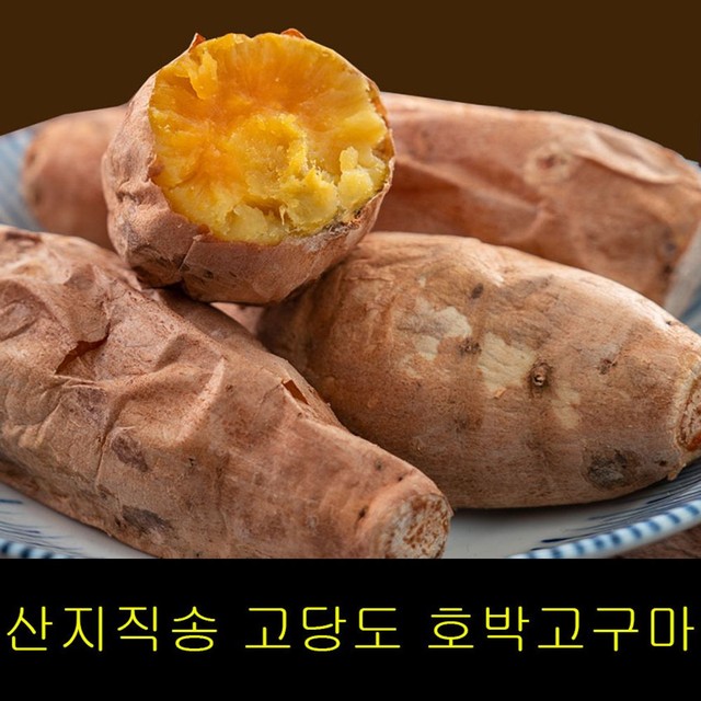 고씨네 이미지