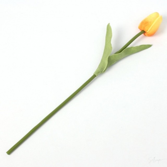조화 이미지