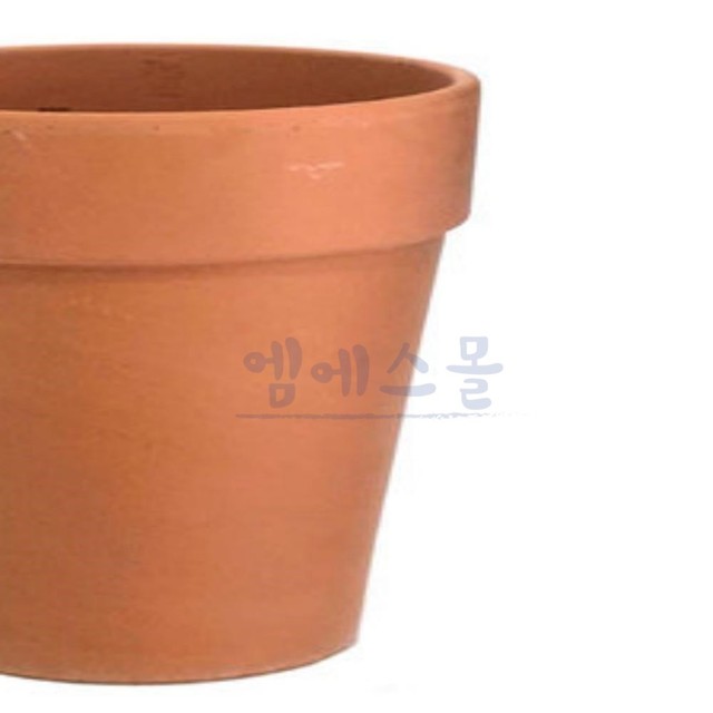 엠에스농장 이미지
