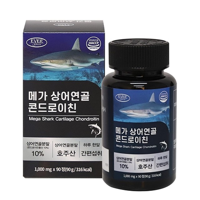 에버그린 이미지