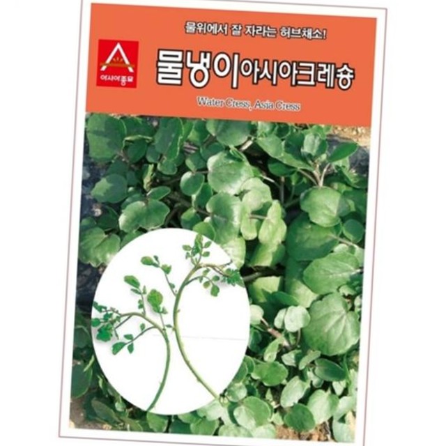 크레숑 이미지