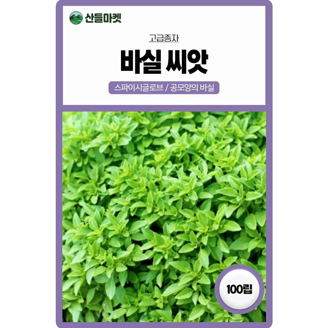 주식회사 소나무처럼 이미지