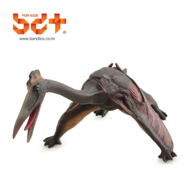 반디기타 이미지