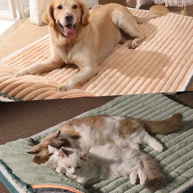(주)헵스 이미지