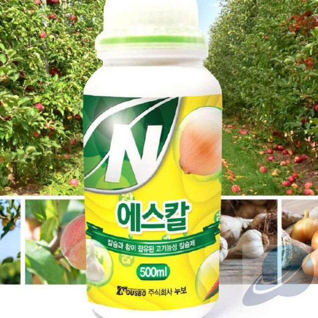 에스칼 이미지