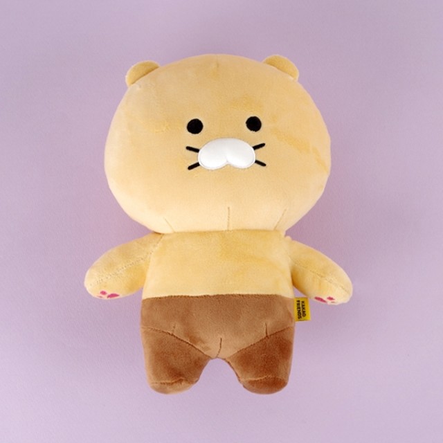 춘식이닷컴 이미지