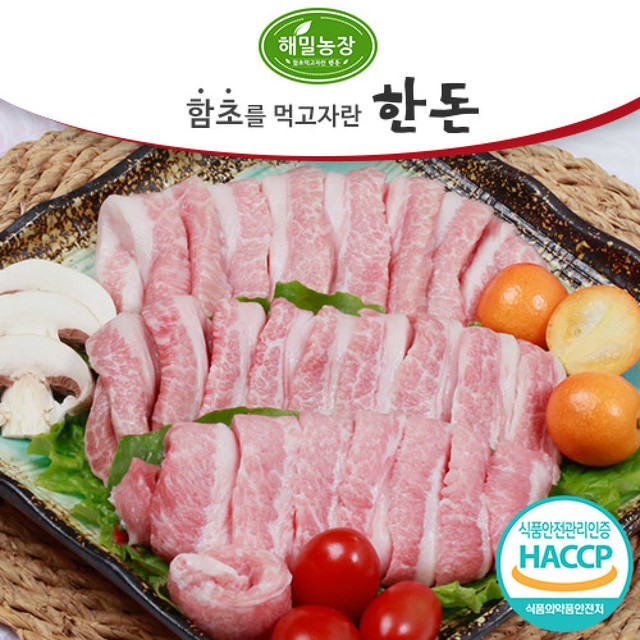 해밀 이미지
