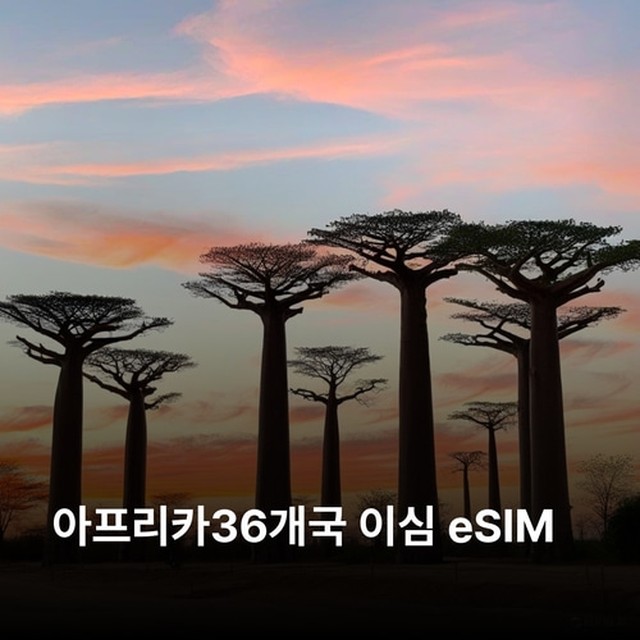 (주)뜨거운청춘 이미지