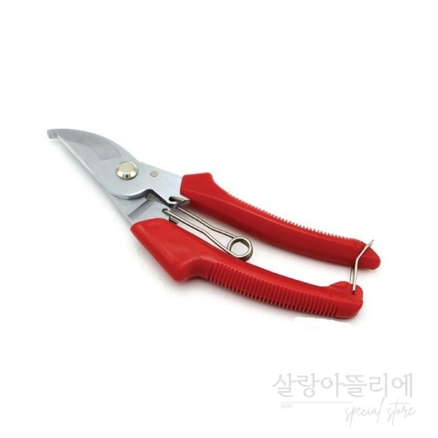 아뜰리에 이미지