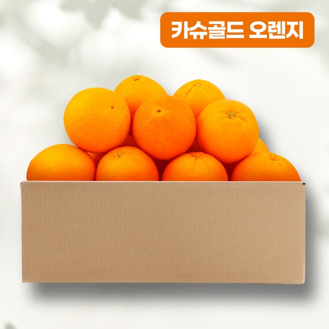 오렌지 이미지