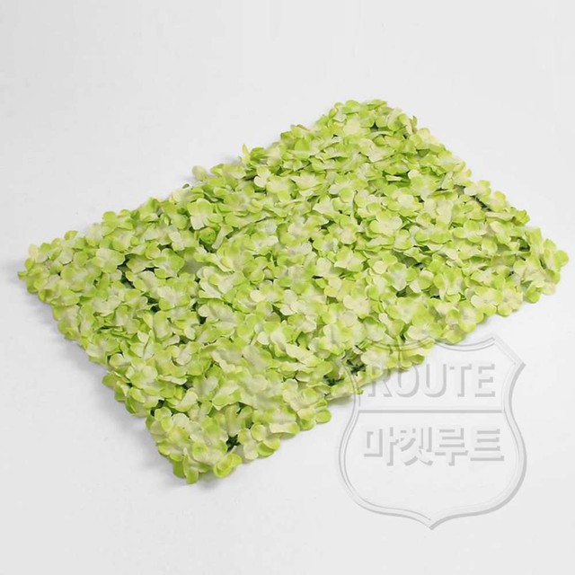 루트플라워 이미지