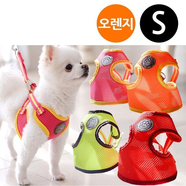 티티스마일 이미지