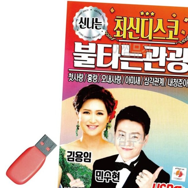 신디스 이미지