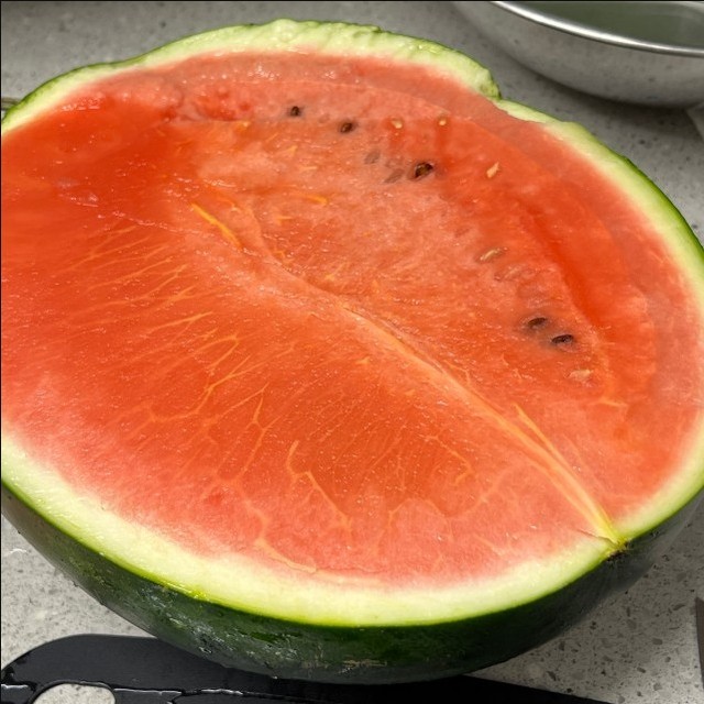 더달당 이미지