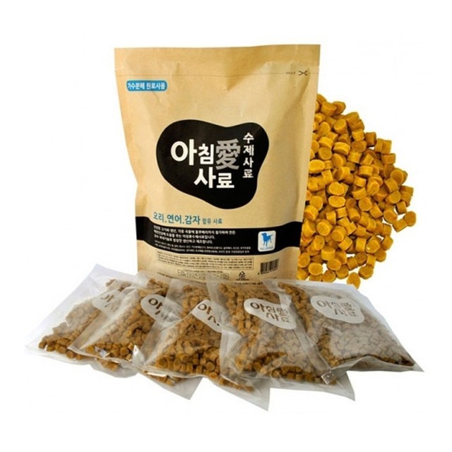 아침애 이미지