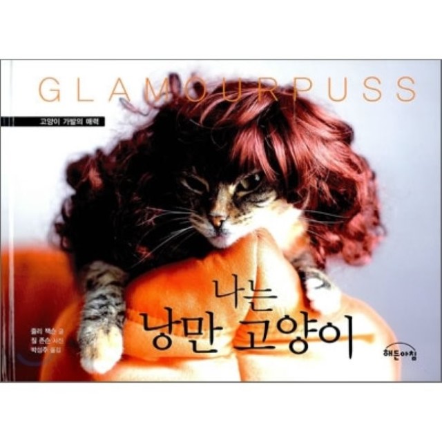 예스가발 이미지