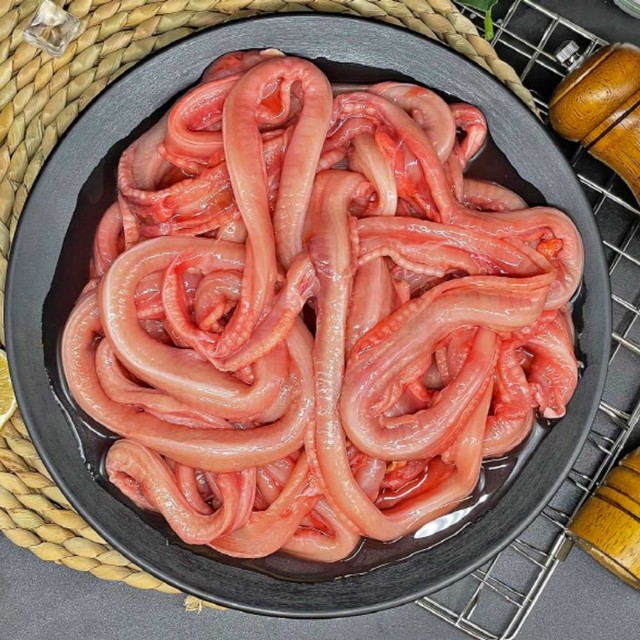 부산자갈치곰장어 이미지
