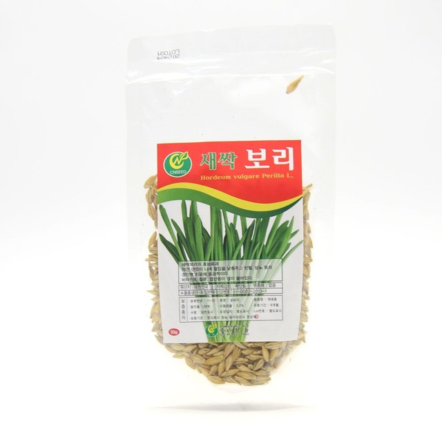씨앗 이미지