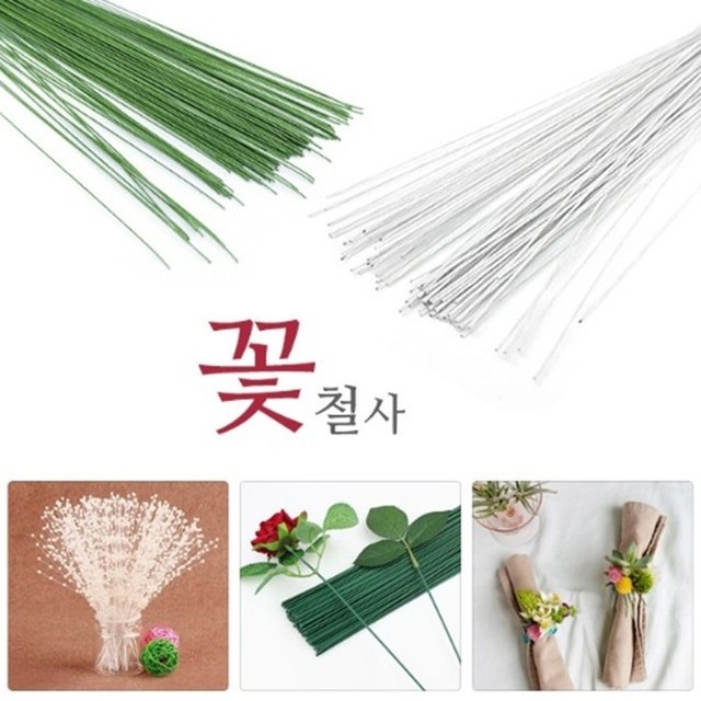 색조화_ 이미지