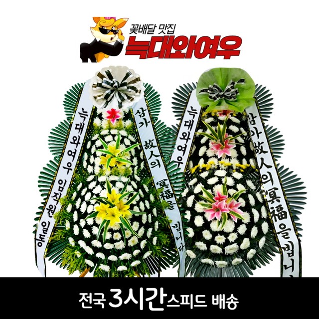 경기도의료원파주병원장례식장 이미지