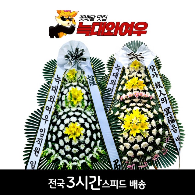 금성장례식장 이미지