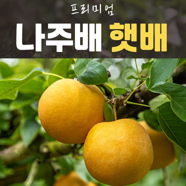 가정유통 이미지